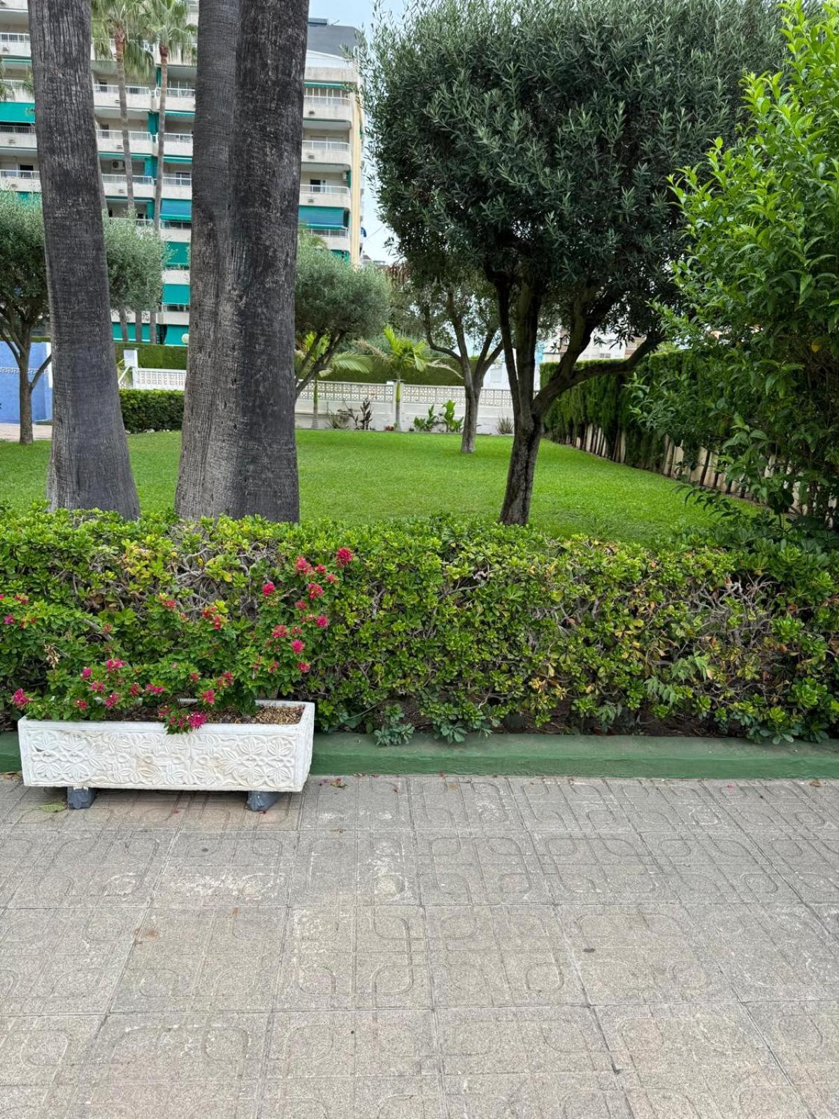 Laramar Apartman Playa de Gandia Kültér fotó